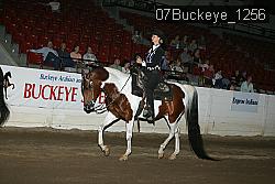 07Buckeye_1256 proof