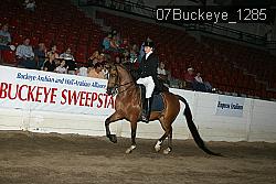 07Buckeye_1285 proof
