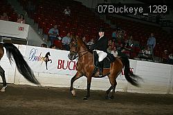 07Buckeye_1289 proof