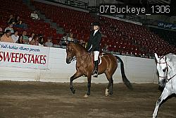 07Buckeye_1306 proof