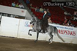 07Buckeye_1353 proof