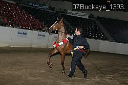 07Buckeye_1393 proof