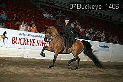 07Buckeye_1406 proof