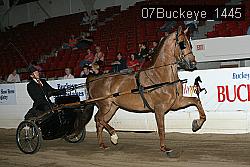 07Buckeye_1445 proof