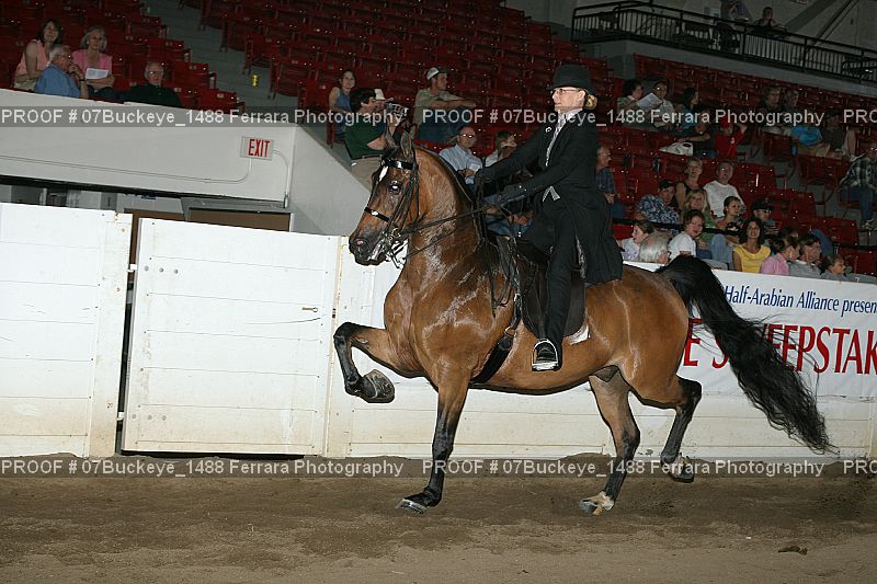 Proof 07Buckeye_1488