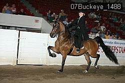 07Buckeye_1488 proof