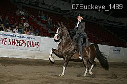 07Buckeye_1489 proof