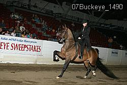 07Buckeye_1490 proof