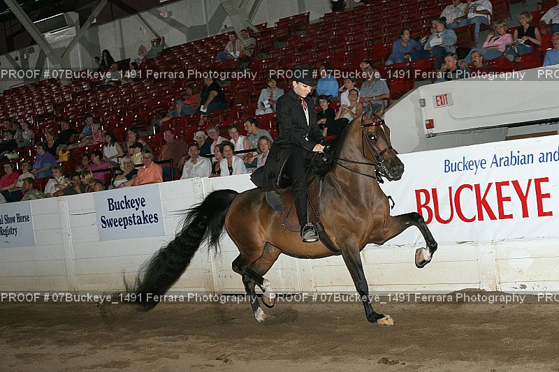 Proof 07Buckeye_1491