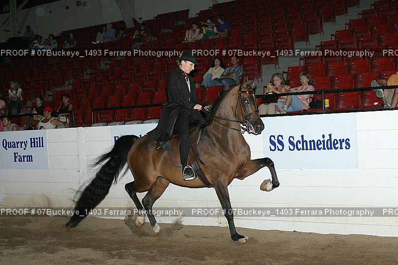 Proof 07Buckeye_1493