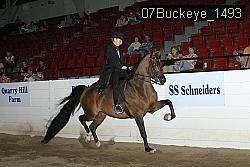 07Buckeye_1493 proof