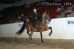 07Buckeye_1494 proof