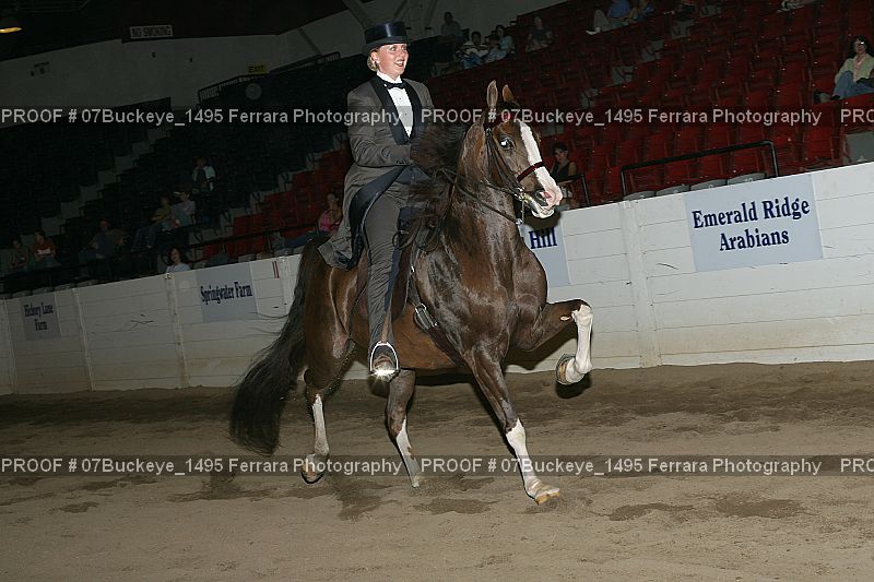 Proof 07Buckeye_1495