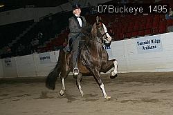 07Buckeye_1495 proof