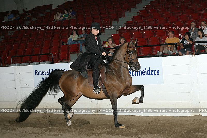 Proof 07Buckeye_1496