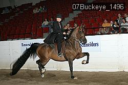 07Buckeye_1496 proof