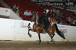 07Buckeye_1499 proof