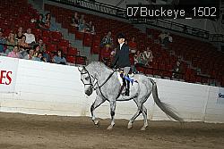 07Buckeye_1502 proof