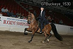 07Buckeye_1530 proof