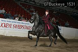 07Buckeye_1531 proof