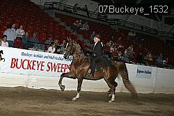 07Buckeye_1532 proof