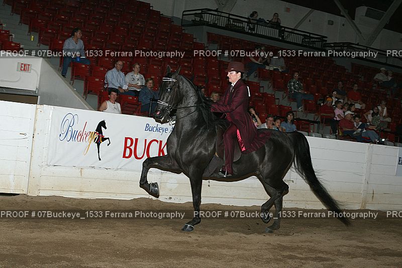 Proof 07Buckeye_1533