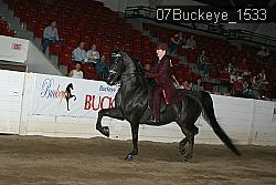 07Buckeye_1533 proof