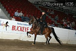07Buckeye_1535 proof