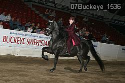 07Buckeye_1536 proof