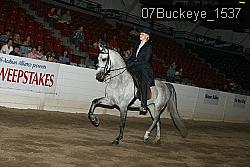07Buckeye_1537 proof