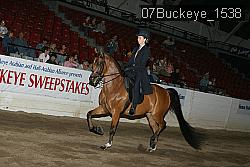 07Buckeye_1538 proof