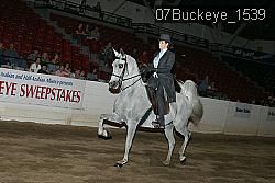 07Buckeye_1539 proof