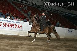 07Buckeye_1541 proof