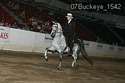 07Buckeye_1542 proof
