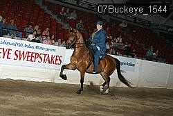 07Buckeye_1544 proof