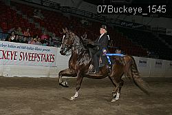 07Buckeye_1545 proof