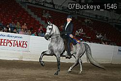 07Buckeye_1546 proof