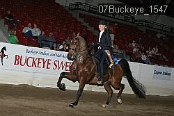 07Buckeye_1547 proof