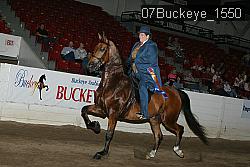 07Buckeye_1550 proof