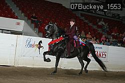 07Buckeye_1553 proof