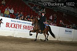 07Buckeye_1602 proof