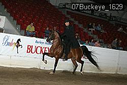07Buckeye_1629 proof