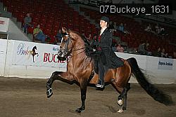 07Buckeye_1631 proof