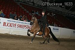07Buckeye_1633 proof