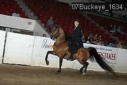 07Buckeye_1634 proof