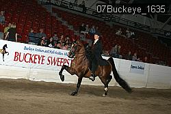 07Buckeye_1635 proof
