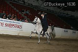 07Buckeye_1636 proof