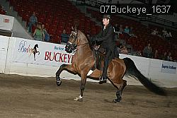 07Buckeye_1637 proof