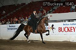 07Buckeye_1640 proof