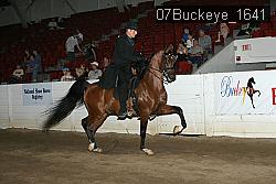 07Buckeye_1641 proof